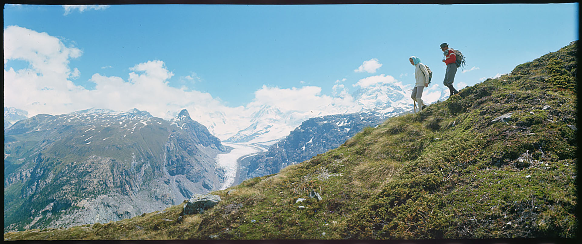 Why 76% of Solo Attorneys Manage Their Own Websites (and when to stop)